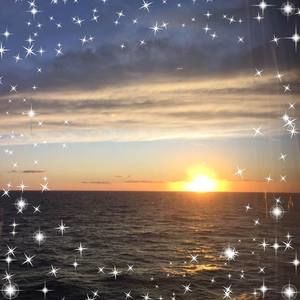 Meet your Posher, Sybil